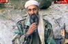 تصویر ذوق زدگی بوش از مرگ بن لادن